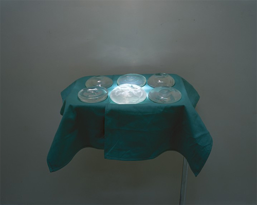 caraphillips-3