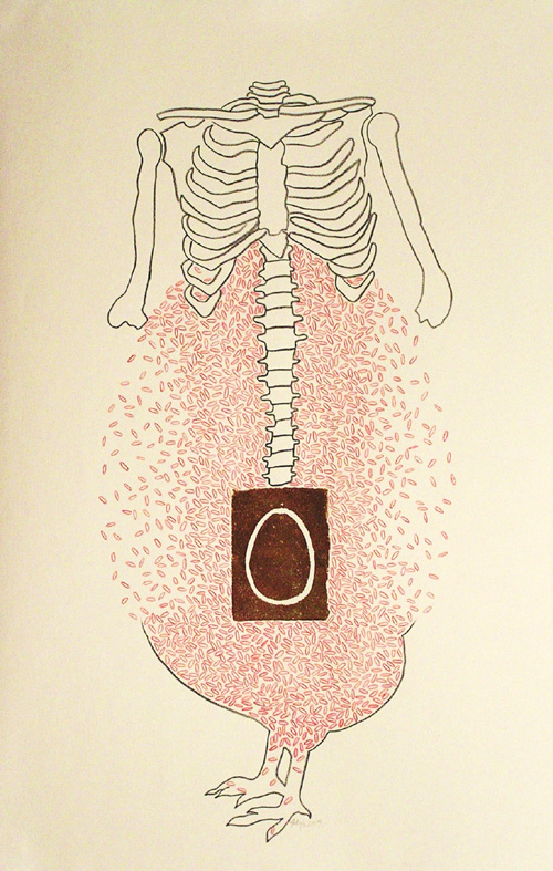 Theories of Evolution and Connection 500 pixels