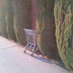 Los_Angeles-20120305-00930.jpg.scaled.1000
