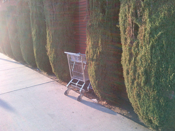 Los_Angeles-20120305-00930.jpg.scaled.1000
